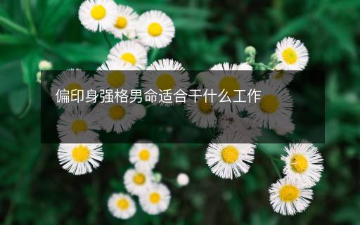 偏印身強(qiáng)格男命適合干什么工作