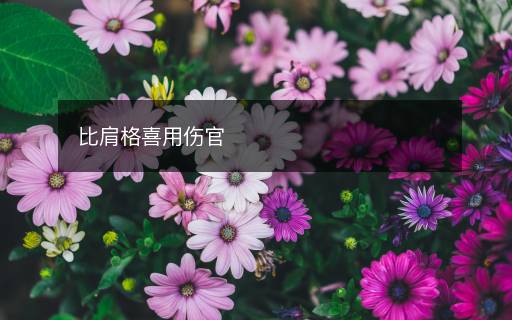 比肩格喜用傷官