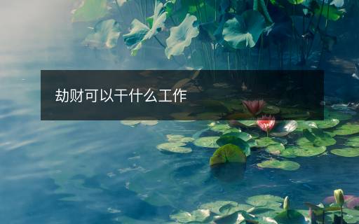 劫財可以干什么工作
