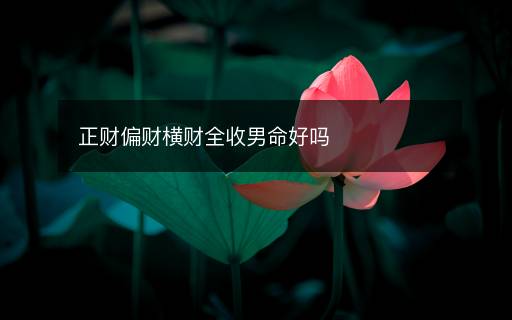 正財偏財橫財全收男命好嗎