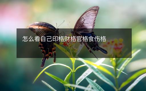 怎么看自己印格財(cái)格官格食傷格