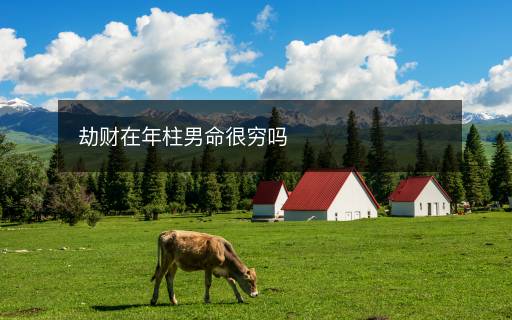 劫財在年柱男命很窮嗎