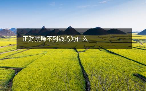 正財(cái)就賺不到錢(qián)嗎為什么