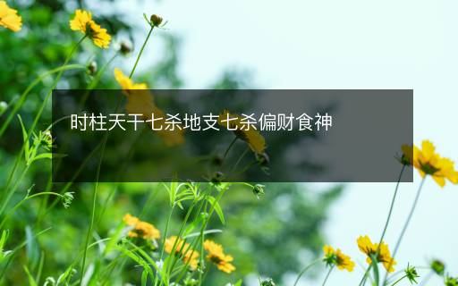 時(shí)柱天干七殺地支七殺偏財(cái)食神