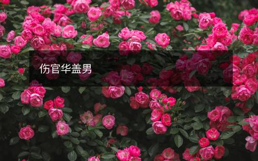傷官華蓋男