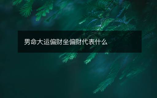 男命大運(yùn)偏財(cái)坐偏財(cái)代表什么