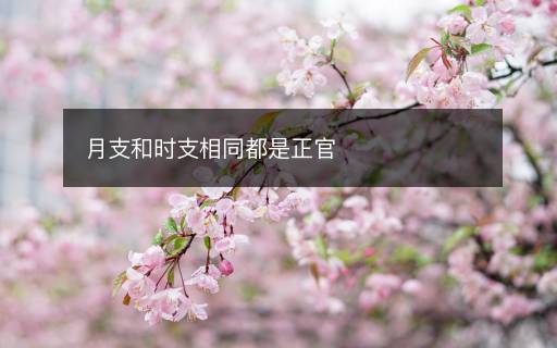 月支和時支相同都是正官