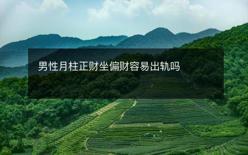 男性月柱正財(cái)坐偏財(cái)容易出軌嗎