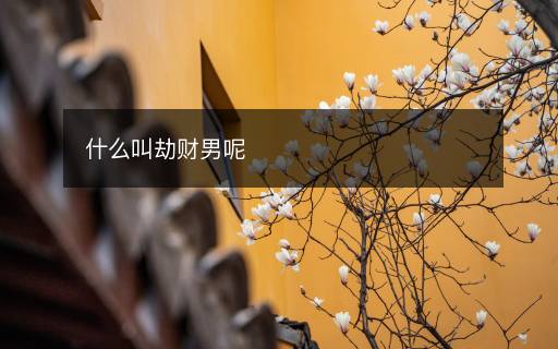 什么叫劫財男呢