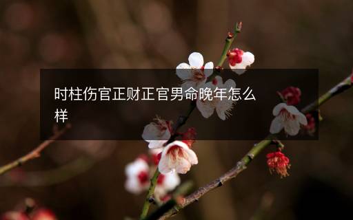 時(shí)柱傷官正財(cái)正官男命晚年怎么樣