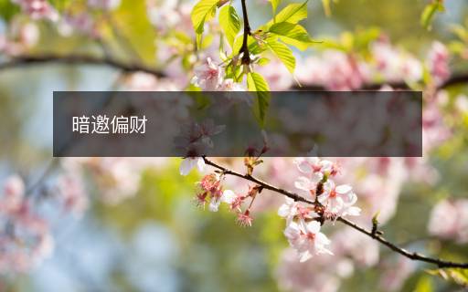 暗邀偏財(cái)