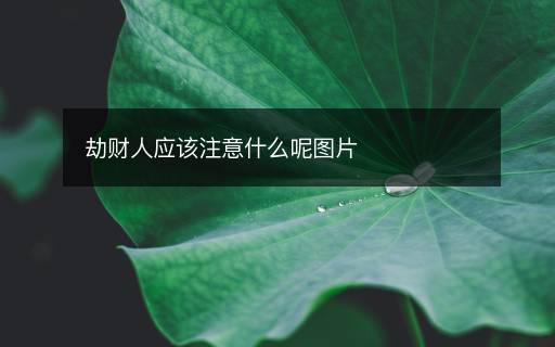 劫財人應(yīng)該注意什么呢圖片