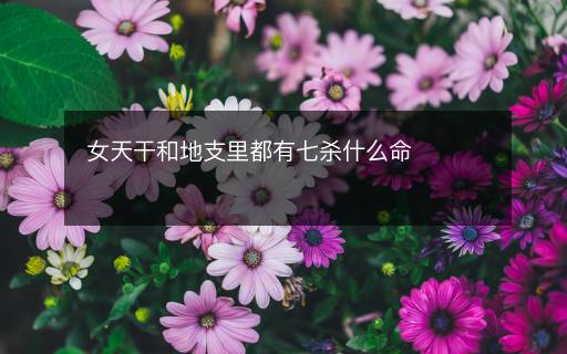 女天干和地支里都有七殺什么命