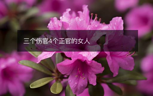 三個(gè)傷官4個(gè)正官的女人