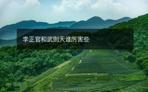 李正官和武則天誰(shuí)厲害些
