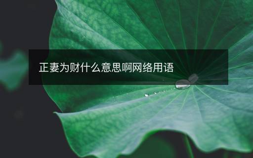 正妻為財(cái)什么意思啊網(wǎng)絡(luò)用語(yǔ)