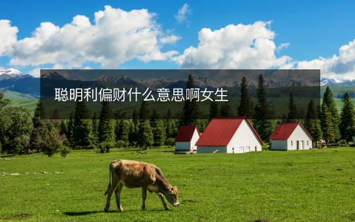 聰明利偏財(cái)什么意思啊女生