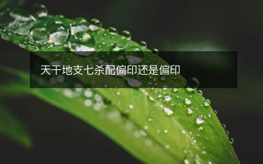 天干地支七殺配偏印還是偏印