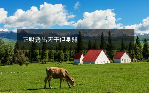 正財透出天干但身弱