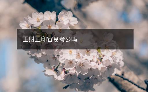 正財(cái)正印容易考公嗎