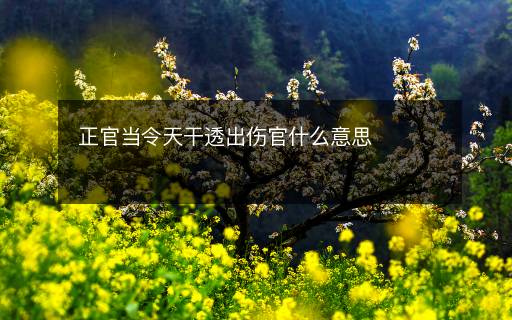 正官當令天干透出傷官什么意思