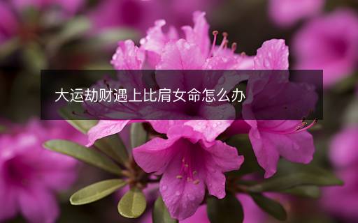 大運(yùn)劫財遇上比肩女命怎么辦