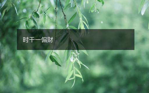時干一偏財(cái)