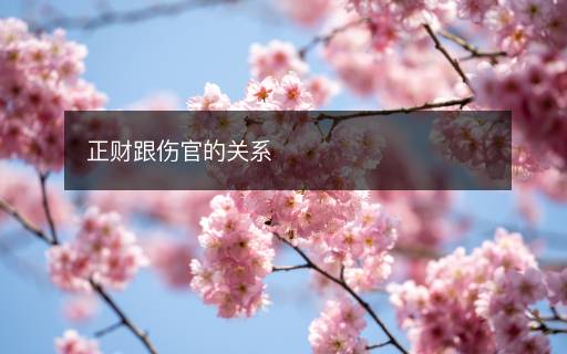 正財(cái)跟傷官的關(guān)系
