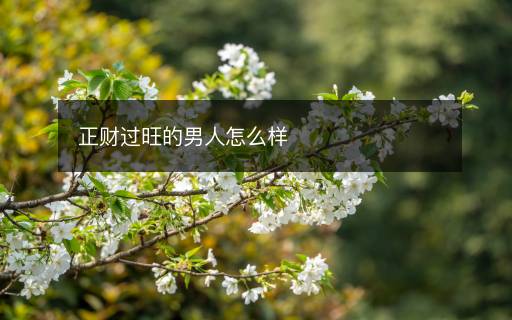 正財(cái)過(guò)旺的男人怎么樣