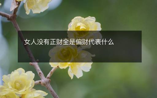 女人沒有正財全是偏財代表什么