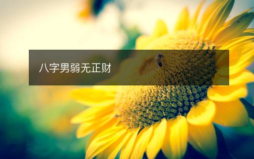 八字男弱無正財(cái)