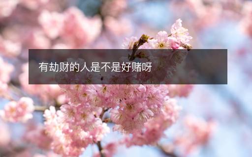 有劫財(cái)?shù)娜耸遣皇呛觅€呀