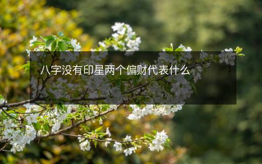 八字沒有印星兩個偏財代表什么