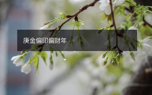 庚金偏印偏財(cái)年