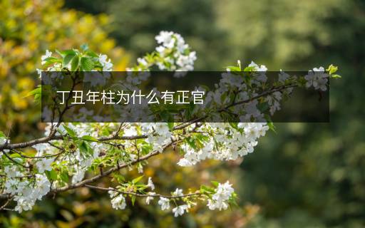 丁丑年柱為什么有正官