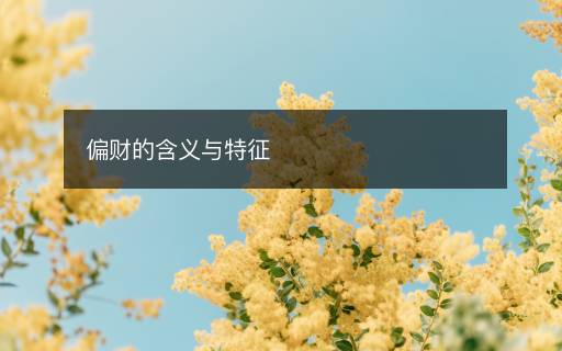 偏財(cái)?shù)暮x與特征