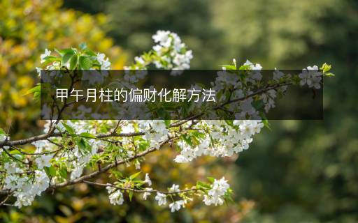 甲午月柱的偏財(cái)化解方法