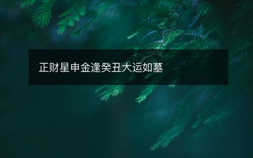正財(cái)星申金逢癸丑大運(yùn)如墓
