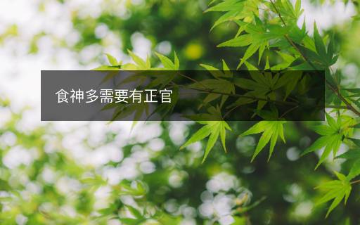 食神多需要有正官
