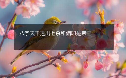 八字天干透出七殺和偏印是帝王