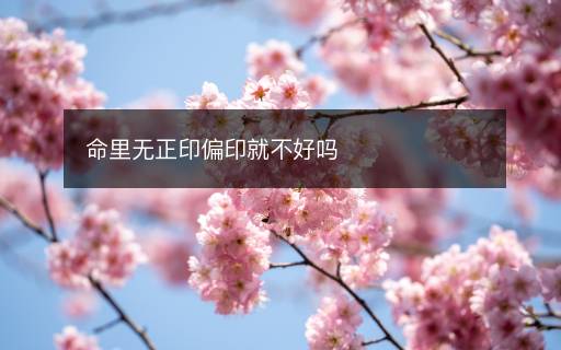 命里無正印偏印就不好嗎