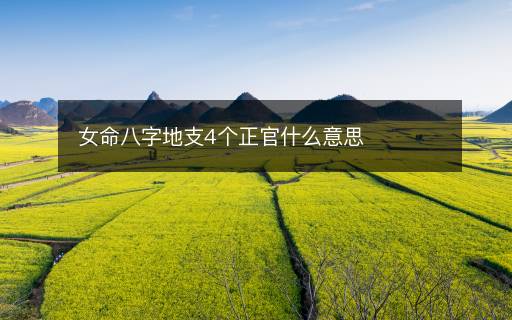 女命八字地支4個正官什么意思