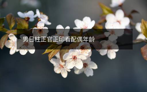 男日柱正官正印看配偶年齡