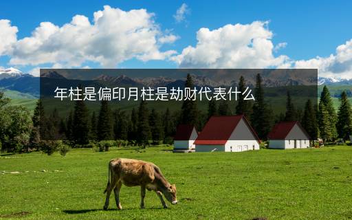 年柱是偏印月柱是劫財代表什么
