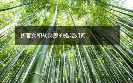 傷官女和劫財郎的婚姻如何