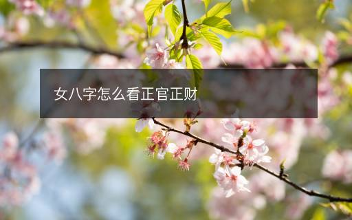 女八字怎么看正官正財