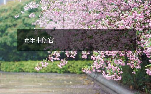 流年來傷官