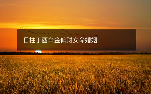 日柱丁酉辛金偏財(cái)女命婚姻