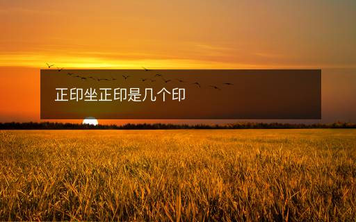 正印坐正印是幾個(gè)印