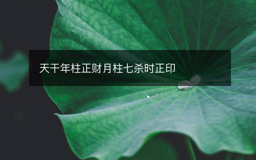 天干年柱正財月柱七殺時正印